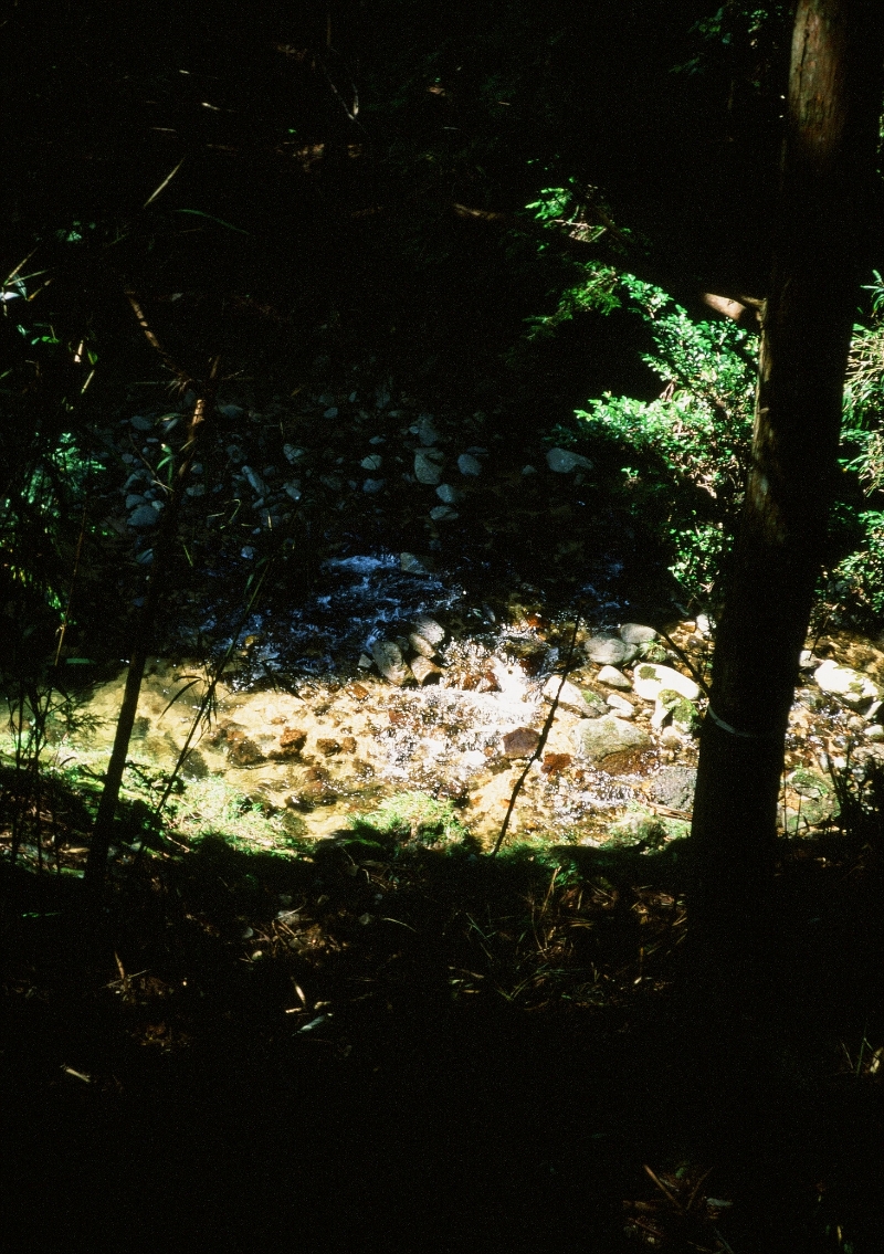 写真16